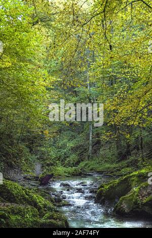 Ehrbachklamm, Deutschland, Rheinland-Pfalz, Traumschleife | Verwendung weltweit Stockfoto