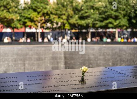 Für jeden Geburtstag des Terrors Opfer des 11. September 2001 ist ein Mitarbeiter der 9/11-Memorial in New York setzt eine weiße Rose auf den jeweiligen Namen in der Kupfer- Grenze der Wasserbecken. Ihre Namen werden in die Grenze geschnitzt. (18 September 2019) | Verwendung weltweit Stockfoto