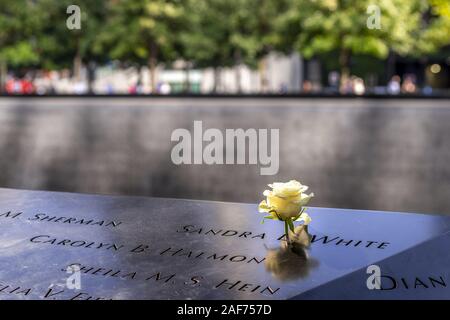 Für jeden Geburtstag des Terrors Opfer des 11. September 2001 ist ein Mitarbeiter der 9/11-Memorial in New York setzt eine weiße Rose auf den jeweiligen Namen in der Kupfer- Grenze der Wasserbecken. Ihre Namen werden in die Grenze geschnitzt. (18 September 2019) | Verwendung weltweit Stockfoto