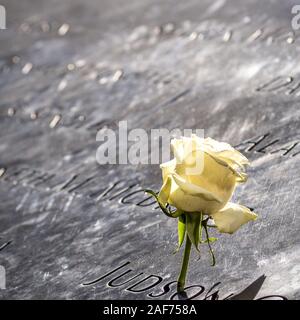 Für jeden Geburtstag des Terrors Opfer des 11. September 2001 ist ein Mitarbeiter der 9/11-Memorial in New York setzt eine weiße Rose auf den jeweiligen Namen in der Kupfer- Grenze der Wasserbecken. Ihre Namen werden in die Grenze geschnitzt. (18 September 2019) | Verwendung weltweit Stockfoto