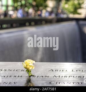 Für jeden Geburtstag des Terrors Opfer des 11. September 2001 ist ein Mitarbeiter der 9/11-Memorial in New York setzt eine weiße Rose auf den jeweiligen Namen in der Kupfer- Grenze der Wasserbecken. Ihre Namen werden in die Grenze geschnitzt. (18 September 2019) | Verwendung weltweit Stockfoto