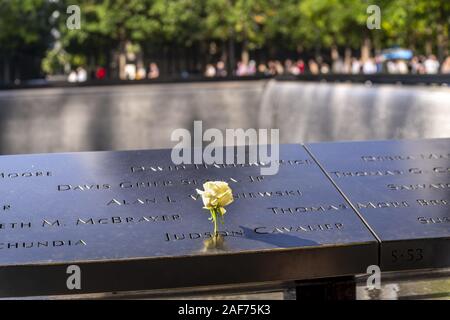 Für jeden Geburtstag des Terrors Opfer des 11. September 2001 ist ein Mitarbeiter der 9/11-Memorial in New York setzt eine weiße Rose auf den jeweiligen Namen in der Kupfer- Grenze der Wasserbecken. Ihre Namen werden in die Grenze geschnitzt. (18 September 2019) | Verwendung weltweit Stockfoto