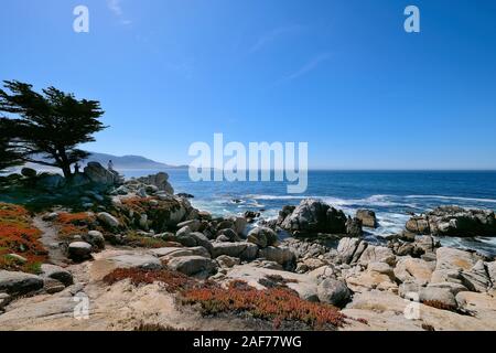 Küste am 17-Mile Drive, kostenpflichtige Küstenstraße auf der Monterey-Halbinsel zwischen Carmel-by-the-Sea und Monterey, Kalifornien, USA Stockfoto