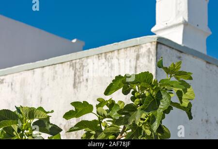 Kubische Schornstein Form in Olhao, Algarve, Portugal Stockfoto