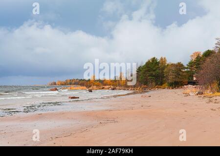 Ostsee Küste im Herbst. Natürliche Landschaft mit Ufer Wasser und feuchtem Sand bei bewölktem Himmel Stockfoto