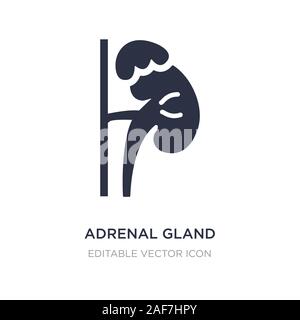 Nebenniere Symbol auf weißem Hintergrund. Einfaches element Abbildung von medizinischen Konzept. nebenniere Symbol Design. Stock Vektor