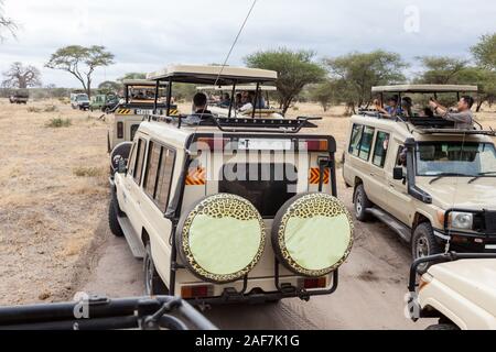 Tansania. Der Tarangire National Park. Fahrzeuge Gestoppt für ein Löwe. Stockfoto