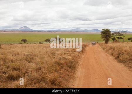 Tansania. Der Tarangire National Park. Der Weg zur Silale Sümpfe Picknickplatz, unter den Bäumen. Stockfoto