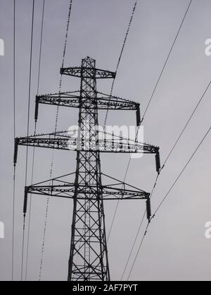 Vögel sitzen auf Strom Kabel Stockfoto