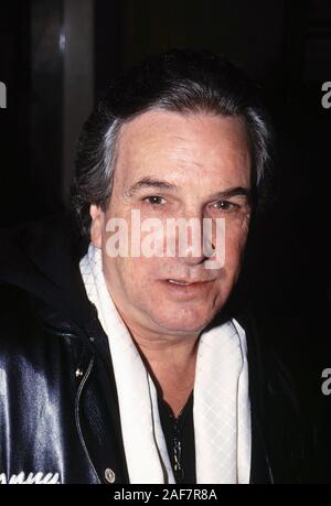 *** Foto *** Schauspieler Danny Aiello hat sich am 86. Danny Aiello © Joseph Marzullo/MediaPunch. Stockfoto