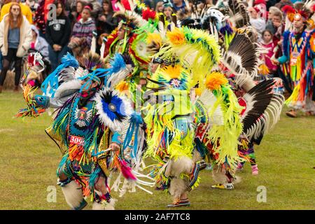 Thanksgiving poarch Creek Indian Pow Wow Stockfoto