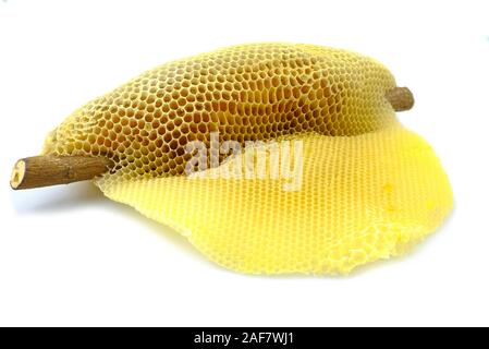 Natürliche wild Wabe auf Holz Niederlassung und isoliert auf weißem Hintergrund Stockfoto