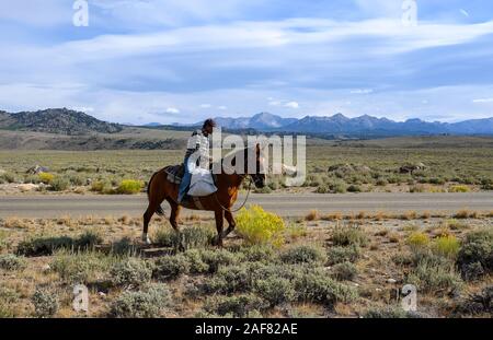 Mann auf Pferd sammeln Geweih in der Nähe der Wind River Mountains, Wyoming. Stockfoto