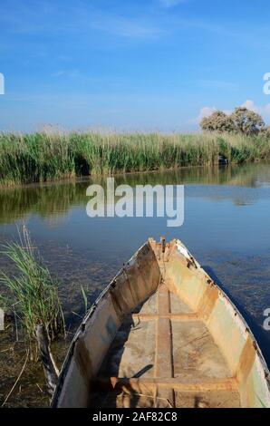 Ruderboot, flachen Boot oder Holz- Boot, Röhrichte, Sümpfe oder Sümpfe in der Camargue Werlands oder Naturschutzgebiet, Perc naturel régional, Provence, Frankreich Stockfoto