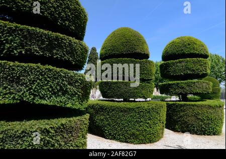 Formgehölze Hecken oder abgeschnitten Eibe, Taxus whipplei in geometrischen Formen in Friedhof in Eyguières im Regionalen Naturpark Alpilles Provence Frankreich Stockfoto