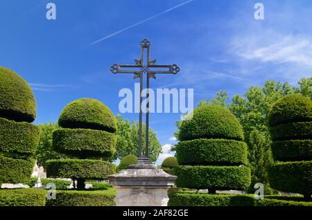 Formgehölze Hecken oder abgeschnitten Eibe, Taxus whipplei in geometrischen Formen in Friedhof in Eyguières im Regionalen Naturpark Alpilles Provence Frankreich Stockfoto