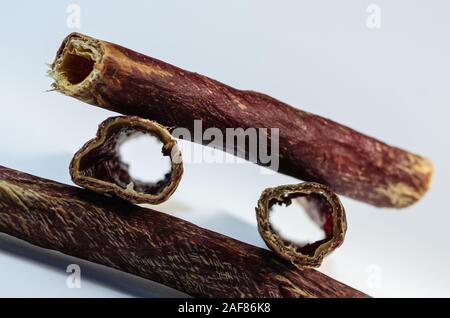 Getrocknetem Rindfleisch Speiseröhre. Natürliche Leckerlis für Haustiere auf einem hellen Hintergrund. Selektive konzentrieren. Stockfoto