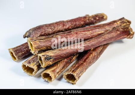 Rindfleisch Speiseröhre auf einem hellen Hintergrund. Eine Gruppe von Sticks einer getrockneten Kuh der Speiseröhre. Natürliche gesunde Leckereien für Hunde. Köstliche Leckereien für Haustiere. Stockfoto