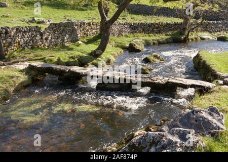 Ein kleiner Steg über einen Stream unter Malham Cove in Yorkshire Dales National Park Stockfoto