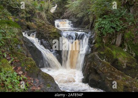 Pecca fällt ist einer der Wasserfälle auf der Ingleton Wasserfälle Trail in den Yorkshire Dales Stockfoto