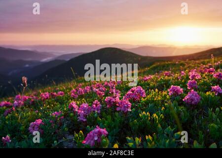 Sommer Natur. Majestätischen Karpaten. Schöne Landschaft. Atemberaubende Aussicht Stockfoto