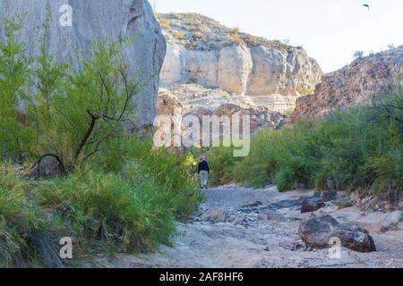 Wandern in Tuff Canyon, Big Bend National Park, Texas. Stockfoto