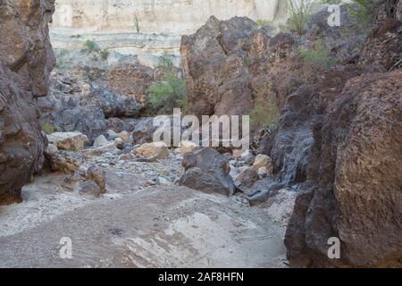 Wandern in Tuff Canyon, Big Bend National Park, Texas. Stockfoto