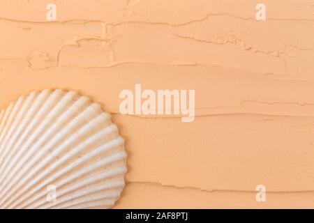 Isolierte seashell auf einem beigen Hintergrund. In der Nähe von Shell. Stockfoto