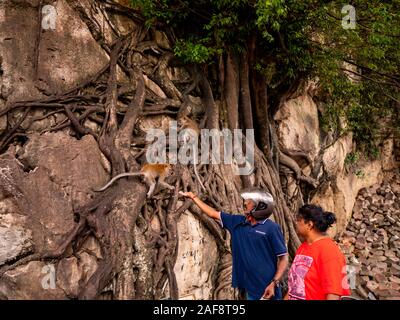 Batu Höhlen, Malaysia 2019 - Anonyme paar Fütterung einer Straße Monkey Stockfoto