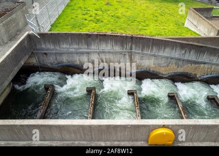 Das Wasser fließt durch eine Fischtreppe an der Bonneville Dam, Washington, USA Stockfoto