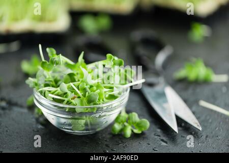 Teil der Ackerschmalwand als detaillierte Nahaufnahme auf einem Schiefer Tafel (selektive Fokus) Stockfoto