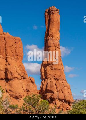 Spire, Panorama Trail, Kodachrome Basin, Cannonville, Utah. Stockfoto