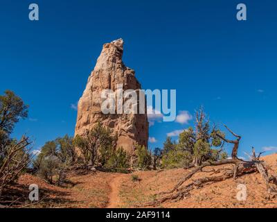 Weiß sedimentären Spire, Panorama Trail, Kodachrome Basin, Cannonville, Utah. Stockfoto