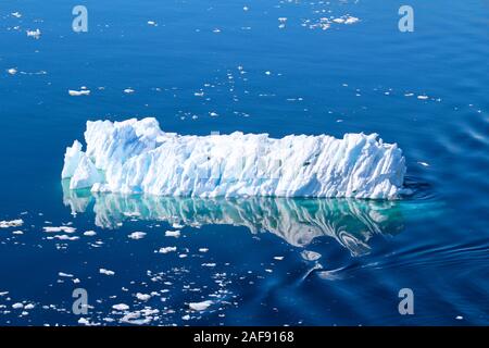 Ein Eisberg in den Gewässern rund um die Antarktische Halbinsel, Palmer Archipel, Antarktis Stockfoto