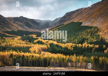 Herbstfarben im malerischen Corrie Gebühr, Glen Puppe, Scottish Highlands Ende Oktober. Stockfoto