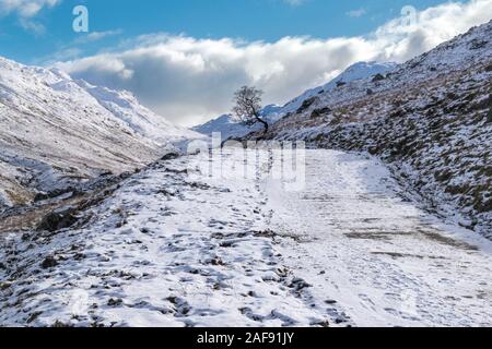 Straße im Schnee im Winter in den schottischen Highlands. Glen Falloch Landschaft mit Schnee und einem einzigen Baum. Stockfoto