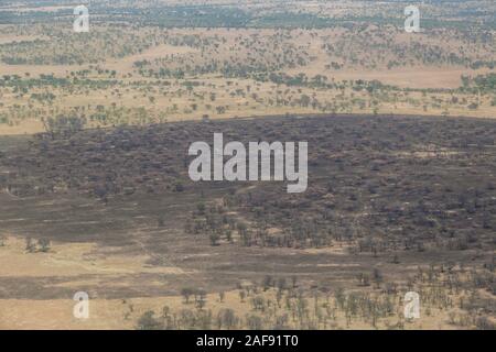 Tansania. Serengeti National Park. Luftbild der Umgebung ausgesetzt zu brennen. Brennen regt neue Vegetation und reduziert die Tsetsefliegen. Stockfoto