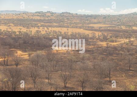 Tansania. Serengeti National Park. Luftbild der Umgebung ausgesetzt zu brennen. Brennen regt neue Vegetation und reduziert die Tsetsefliegen. Stockfoto