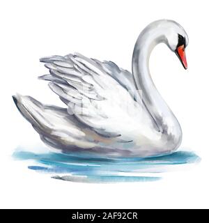 White Swan Vogel auf dem Teich, Art Illustration mit Aquarell auf weißem Hintergrund gemalt. Stockfoto