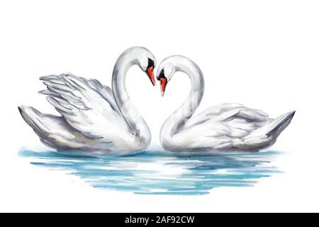 Zwei White Swan Vögel auf einem Teich zusammen, Symbol der Liebe, Valentinstag, Hochzeit, Art Illustration mit Aquarell auf weißen Ba isoliert lackiert Stockfoto