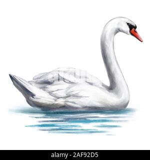 White Swan Vogel auf dem Teich, Art Illustration mit Aquarell auf weißem Hintergrund gemalt. Stockfoto