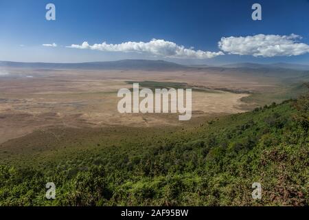 Tansania. Ngorongoro Krater Caldera malerischen Blick von der Felge. Stockfoto