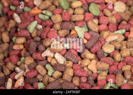 Ansicht von oben Hundefutter. Rot, Grün und Braun Hund behandelt. Nahaufnahme Stockfoto