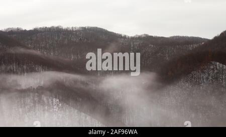 Weiche, Misty, ätherischen Szene von erstaunlichen pyramidalen Formen der Berg Hochland von Wald mit roten Bäumen, Schnee und dichter Nebel auf einem Nebelhaften bedeckt, im Winter Stockfoto