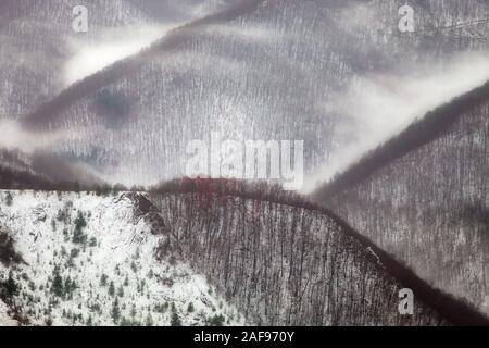 Abstrakte, diesig, neblig, bildende Kunst von alpiner Highlands mit Schnee und unfruchtbar und roten bunten Bäumen bedeckt mit mehreren immergrüne Pinien Stockfoto