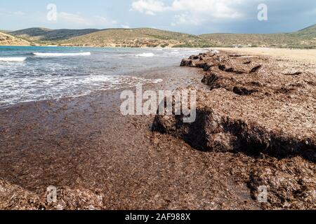 Strandabschnitt mit braunen Algen und Wasser Wellen aus dem prasonisi Halbinsel im Süden der Insel Rhodos, Griechenland Stockfoto