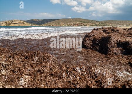 Strandabschnitt mit braunen Algen und Wasser Wellen aus dem prasonisi Halbinsel im Süden der Insel Rhodos, Griechenland Stockfoto