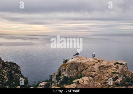 Zwei Möwen am Rande des Kalkbergs, keine Menschen, malerischer Blick auf das Mittelmeer und den bewölkten Himmel, Naturpark Penyal d'Ifac, Calpe, Spanien Stockfoto