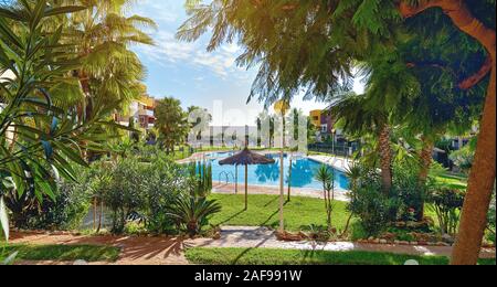 Durch üppiges Grün öffnen frische grüne, helle Blätter tropischer Bäume einen schönen Blick auf den öffentlichen Swimmingpool. Konzept neue Immobilien Spanien Stockfoto