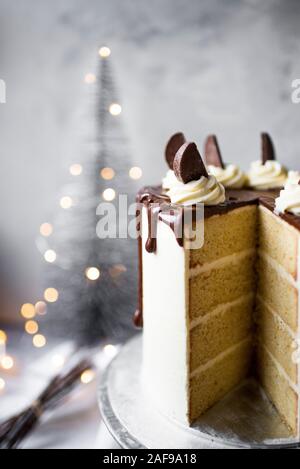 Weihnachten Schokolade orange Layer Cake mit Orange Buttercream und dunkle Schokolade ganache Stockfoto